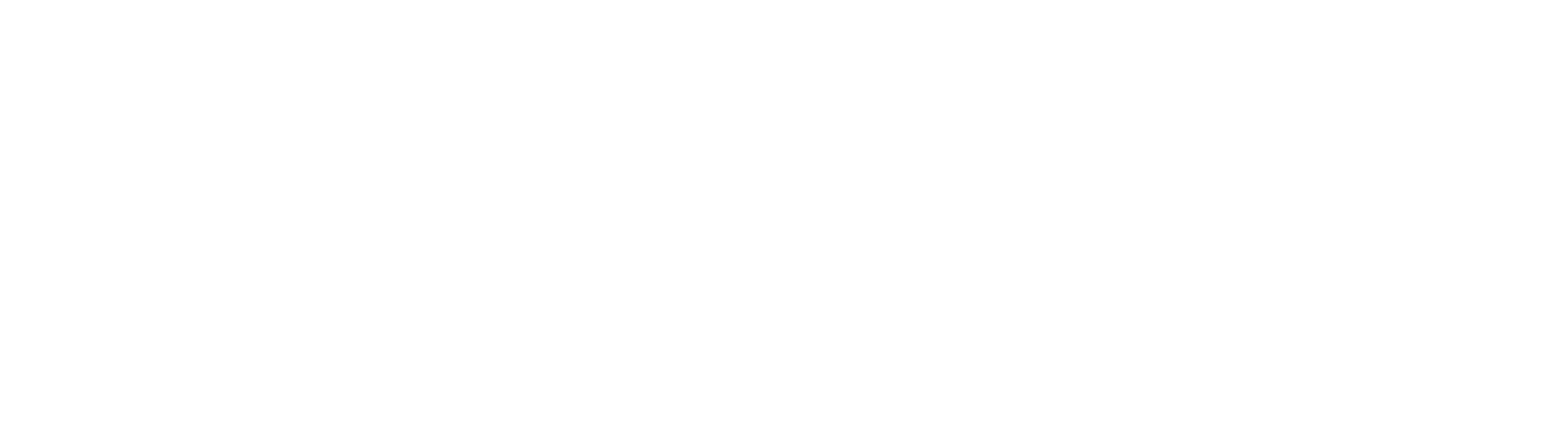 Bayosthiti AI